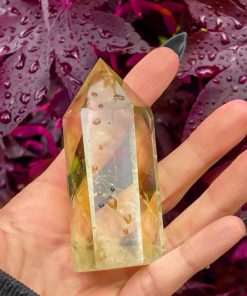 Rhythmroute.shop8bffbddfdf 1