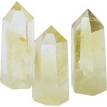 Rhythmroute.shop8bffbddfdf 3