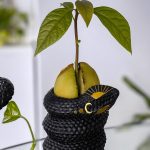 Rhythmroute.shopb10c9517aa 2